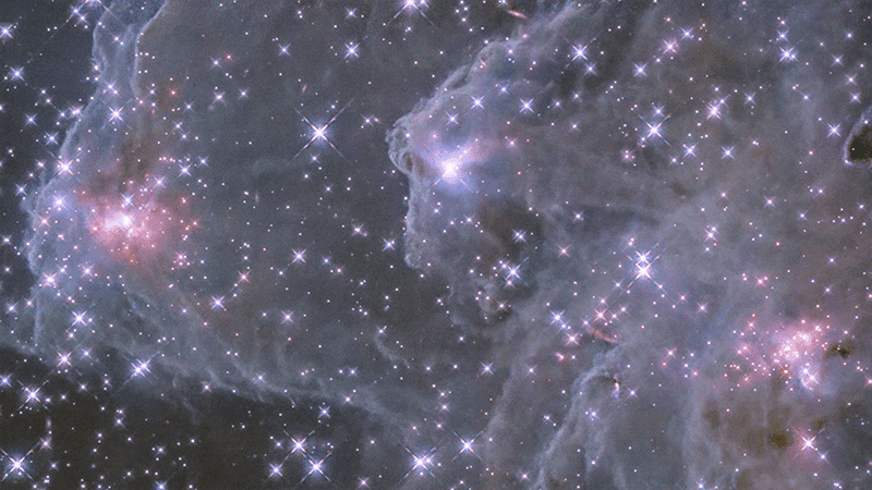 The Secret Legacy of Apollo's Moon Trees: Why NASA Quietly Buried the Most Poignant Space Artifacts - Image 2