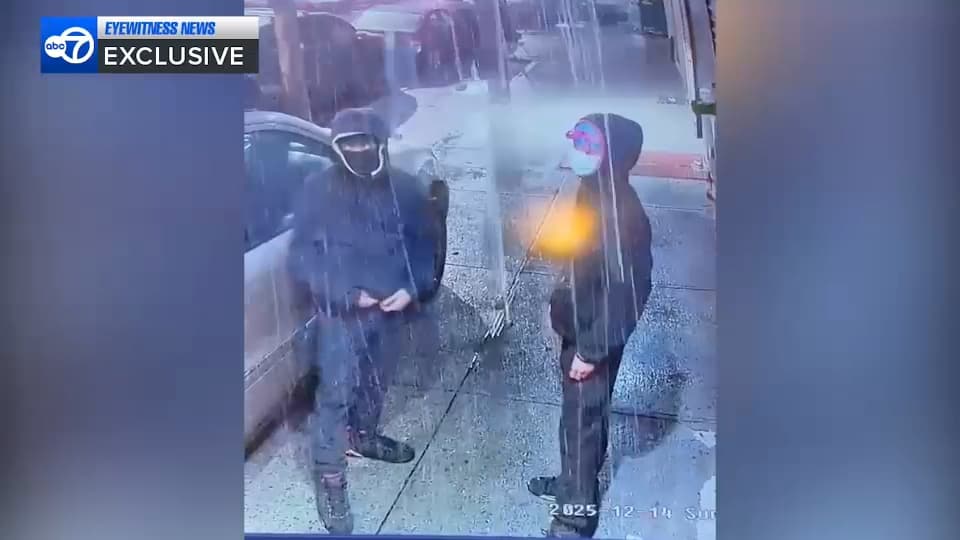 The Hidden Cost of '2026 Goals': Why Hispanic Federation's Maternal Health Push Masks a Deeper Political Crisis - Image 3