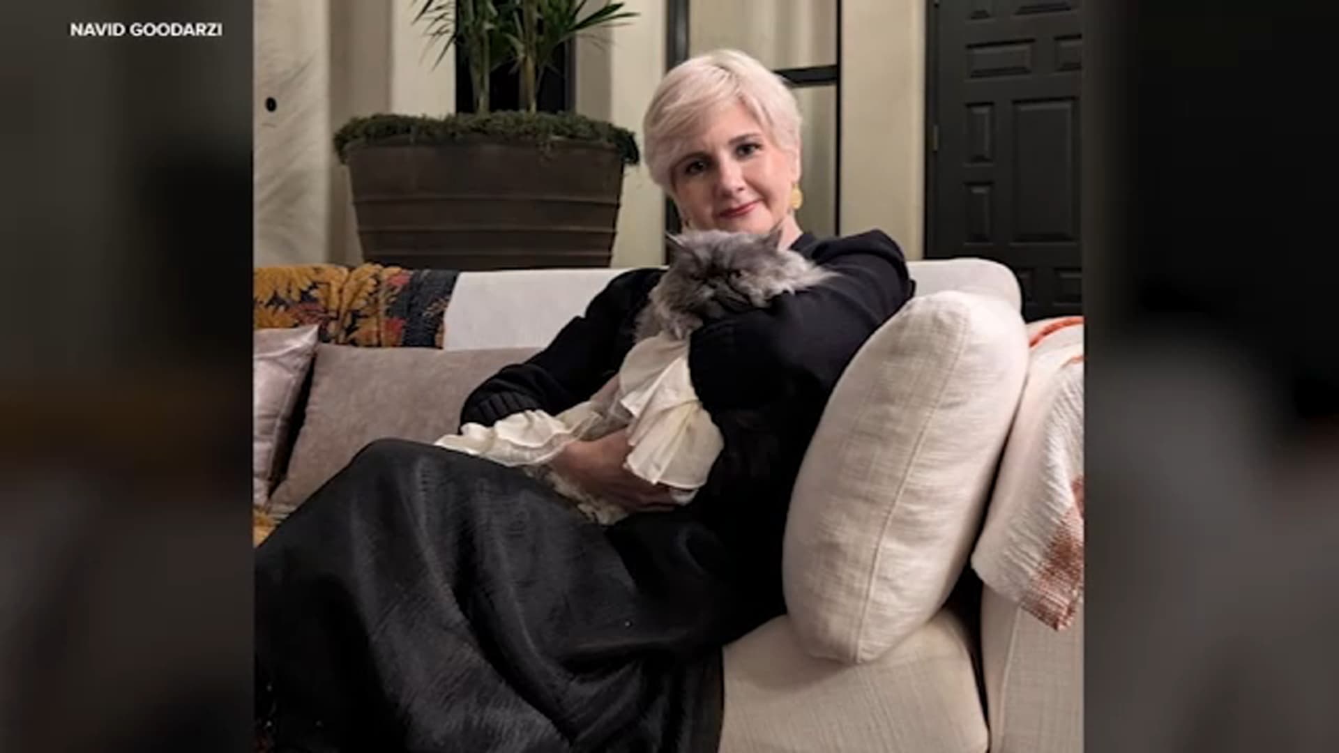 The Narcissism Trap: Why Your Own Face is the Ultimate Uncanny Valley and Who Profits From Your Self-Loathing - Image 6