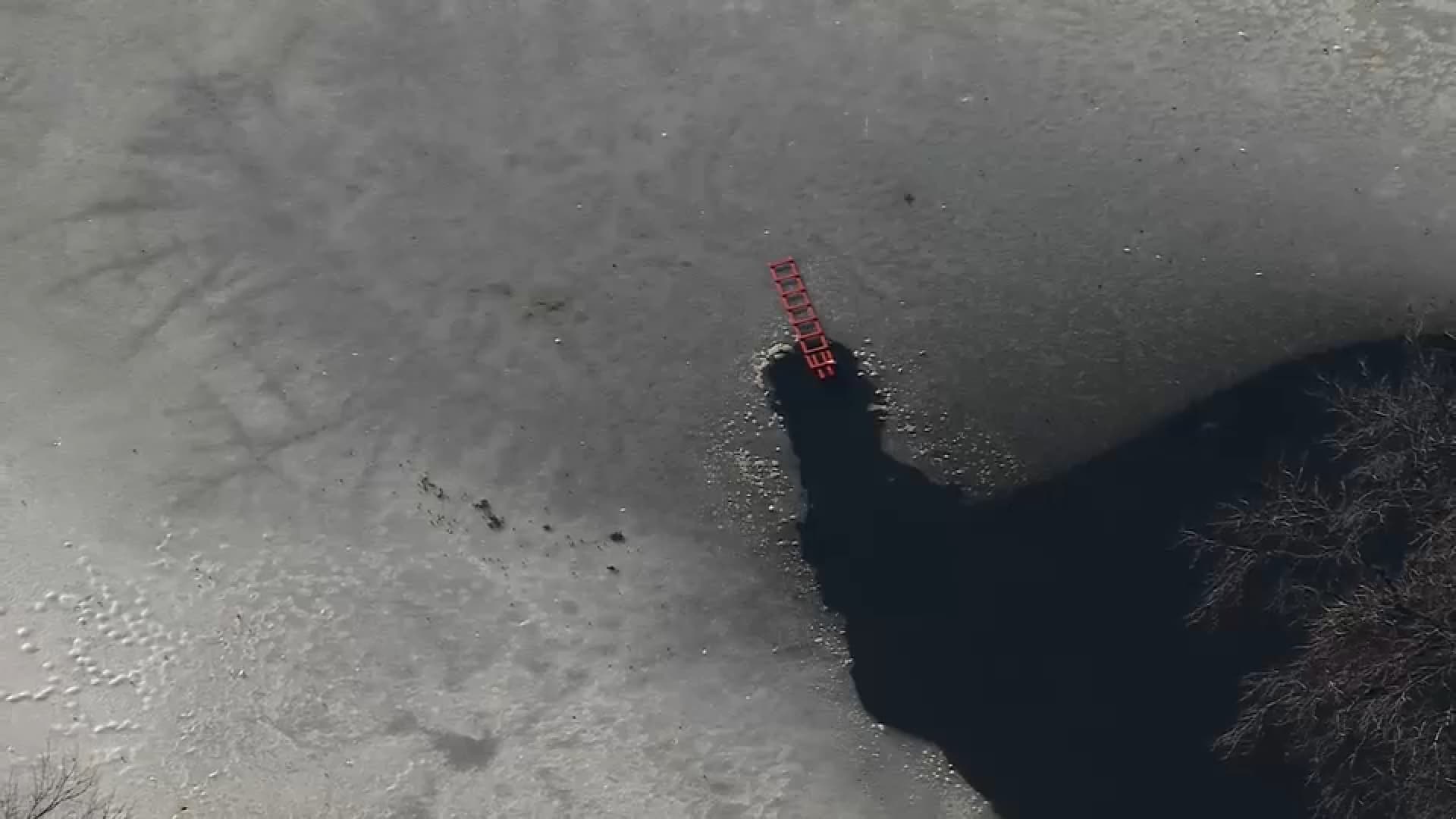 The DMV Shutdown Secret: Why This 'Tech Upgrade' Is a Trojan Horse for Massive State Control - Image 1