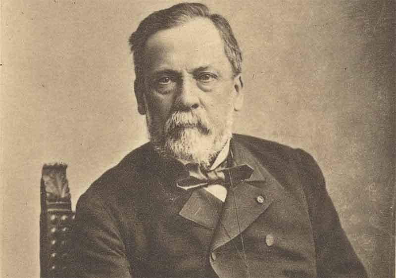 The Hidden Cost of Pasteur: Why Modern Medicine Still Worships a Flawed 19th-Century God