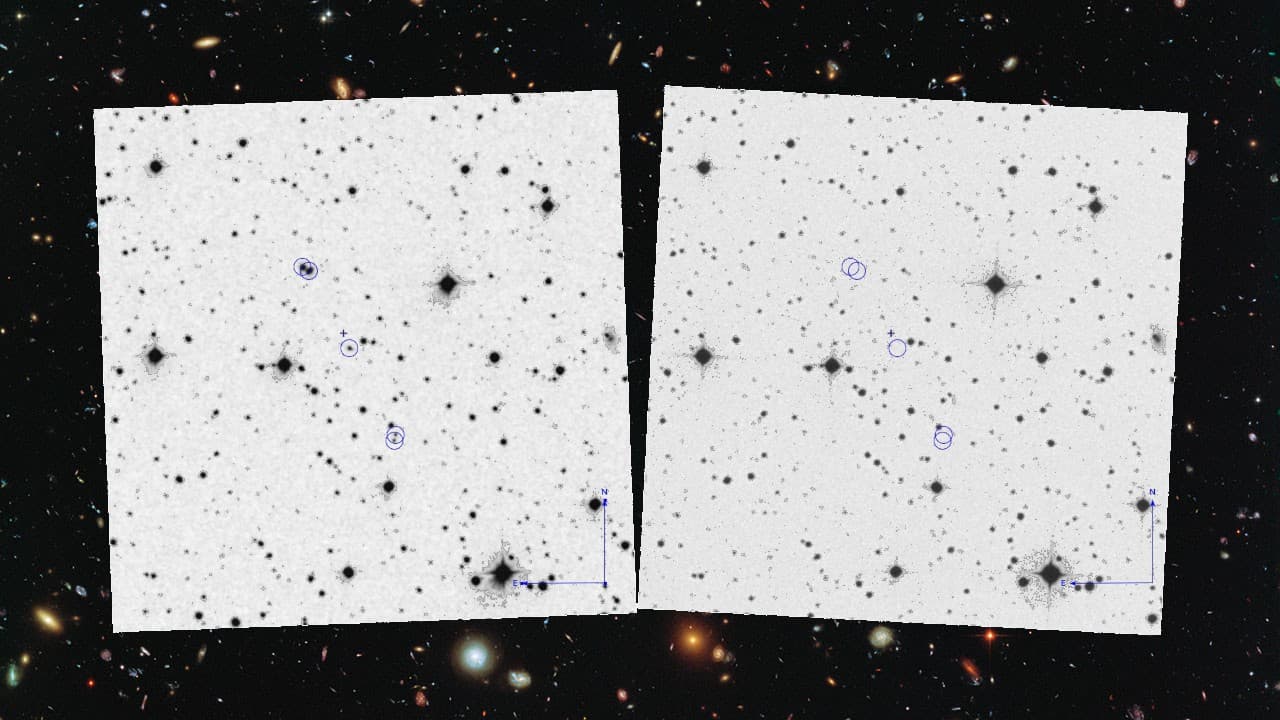 The Real Reason the Japan Quake Isn't Making Global Headlines (And Why the Robot Kick Matters More) - Image 3