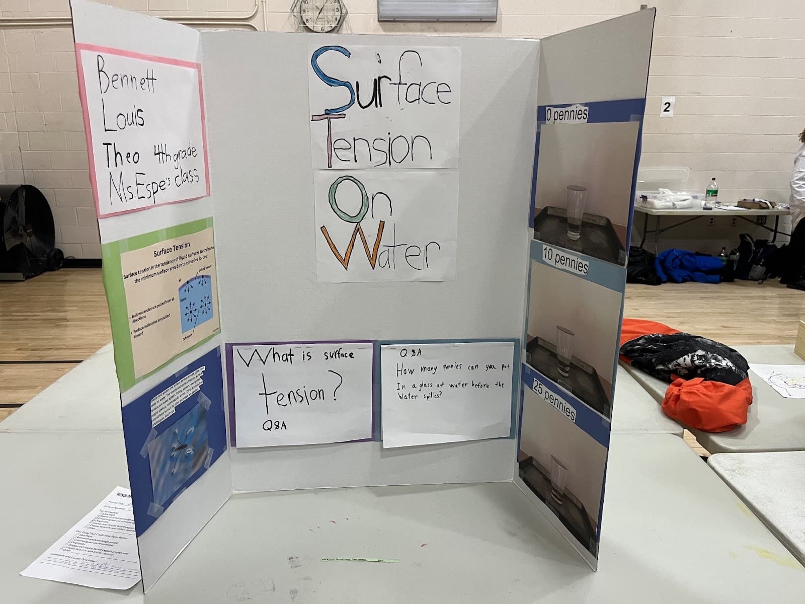 The Quiet Collapse: Why Local Science Fairs Are the Last Line of Defense Against Mediocrity - Image 2