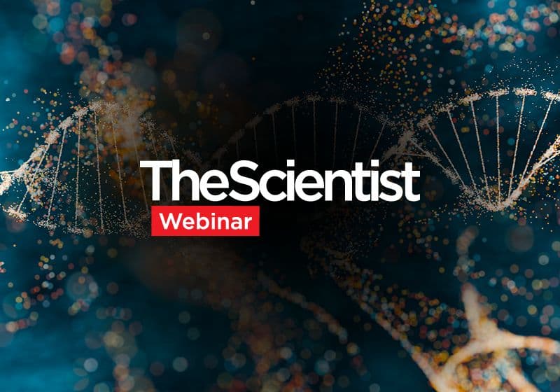 Forget PCR: The Silent Revolution of ddPCR is About to Redefine Diagnostics (And Who's Paying For It)