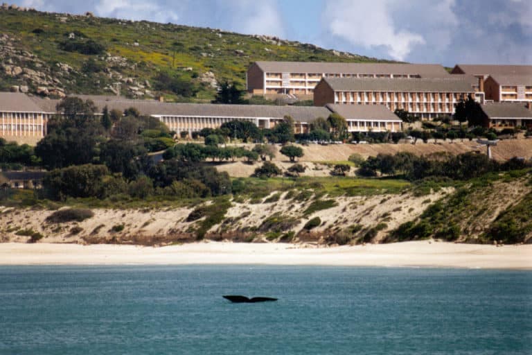 The Silent Coup: Why Elite Military Science Graduates Are the Real Threat to National Security