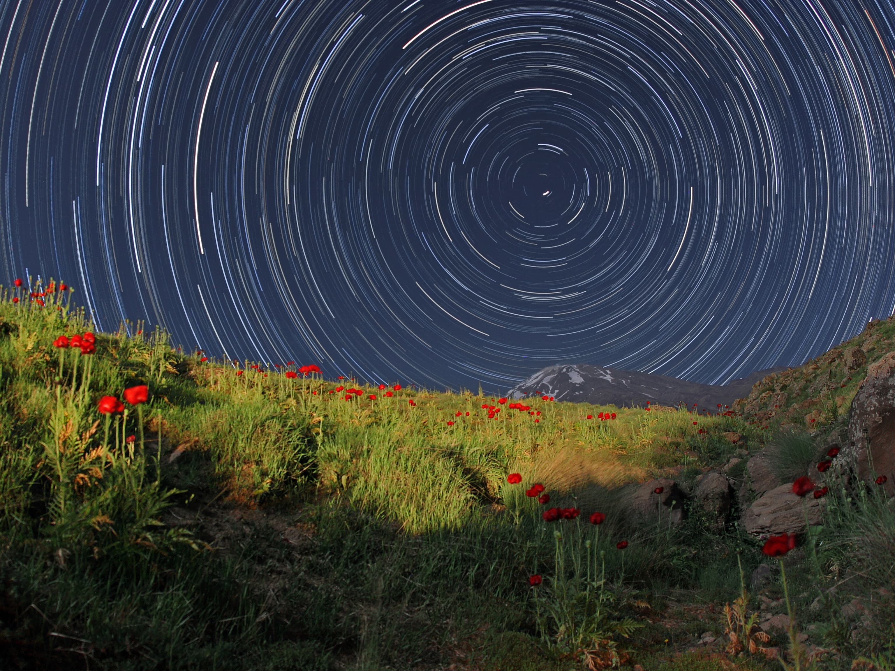 The Invisibility Cloak Is Here: Why Military Budgets—Not Hollywood—Will Fund the End of Privacy - Image 7