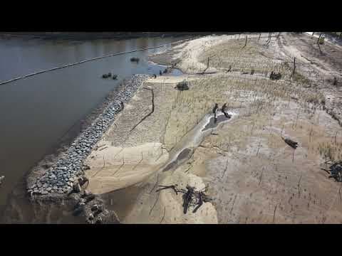 The Silent Epidemic: Why 75% of Americans Are Lying About Their Heart Health to Their Own Doctors - Image 3