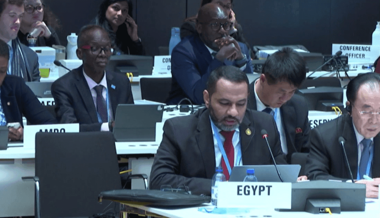 The WHO's Efficiency Fix: Who Really Wins When Bureaucracy Gets a Makeover?