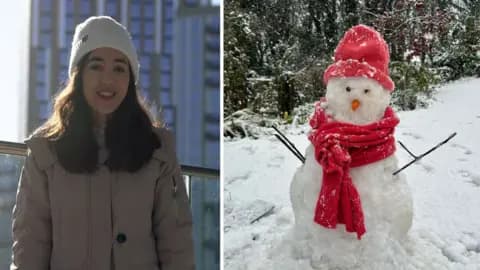 The Hidden Cost of 'Health Education': Why Welsh Girls Are Being Set Up to Fail - Image 4