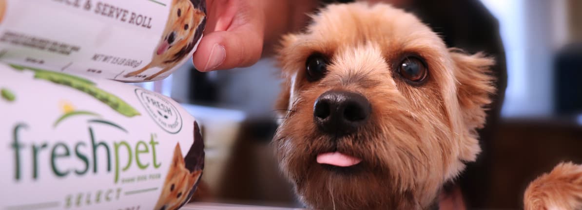 Align Technology's Swiss Gambit: The Hidden War for Your Digital Smile Data