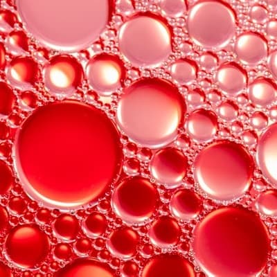 The AI Gold Rush Isn't About Chips—It's About the Wires: Why Credo's Quiet Surge Is the Real Story - Image 2