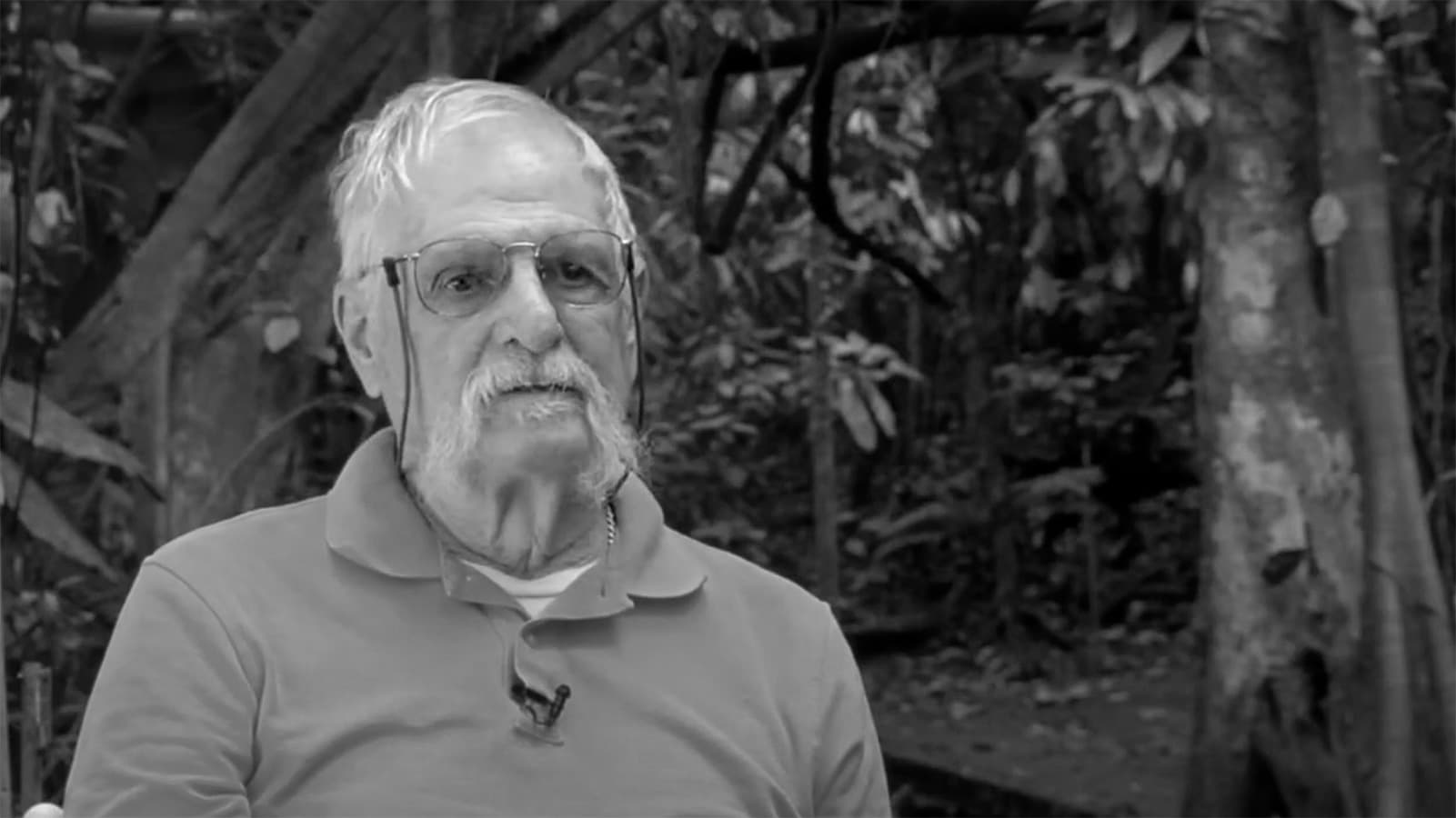 The Silent Extinction: Why Jay Savage’s Dying Frogs Are a Warning Shot for Global Science Funding