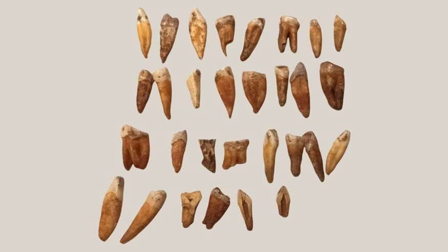 Lancaster’s Buried Secrets: The Hidden Cost of Weaponizing Archaeology with AI