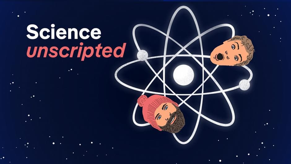 The Sentience Lie: Why Science's New Animal 'Thinking' Claims Are Really About Human Guilt