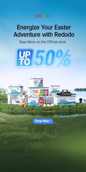 The EV Lie: Why 'Technology Neutrality' Is A Trojan Horse For Fossil Fuel Giants - Image 2