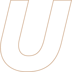 The Cult of 'Style' is Killing Real Science: Who Really Wins When Aesthetics Trump Data? - Image 1