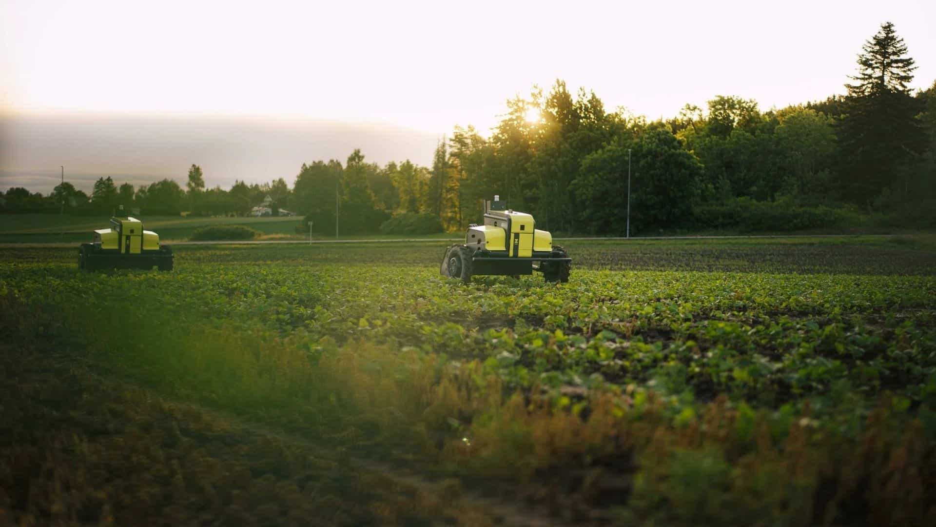 The €6.5M Lie: Why Norway’s Autonomous Weeding Tech Hides the Real Agricultural Apocalypse
