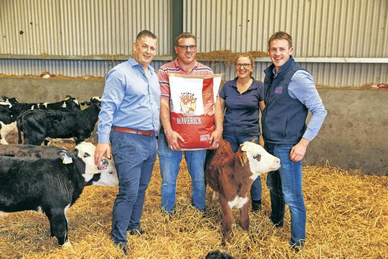 The Hidden Cost of 'Consistency': Why Your Farm's Obsession With Calf Health Might Be A Profit Trap - Image 4