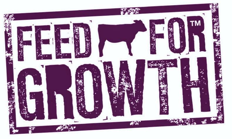 The Hidden Cost of 'Consistency': Why Your Farm's Obsession With Calf Health Might Be A Profit Trap - Image 3