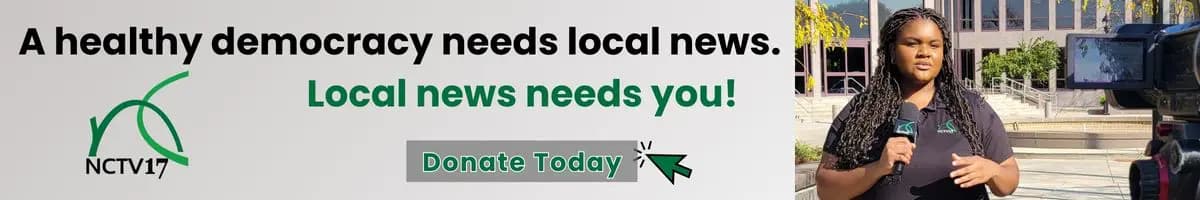 The Teen Mental Health Industrial Complex: Why One High School Book Signals a Dangerous Shift - Image 6