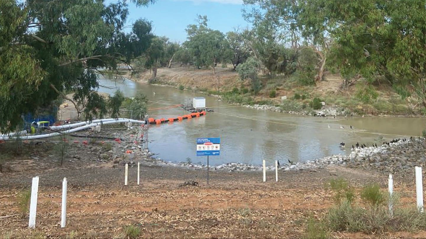 The Fish Ladder Lie: Why New 'Innovative' Water Tech Won't Save Migratory Species