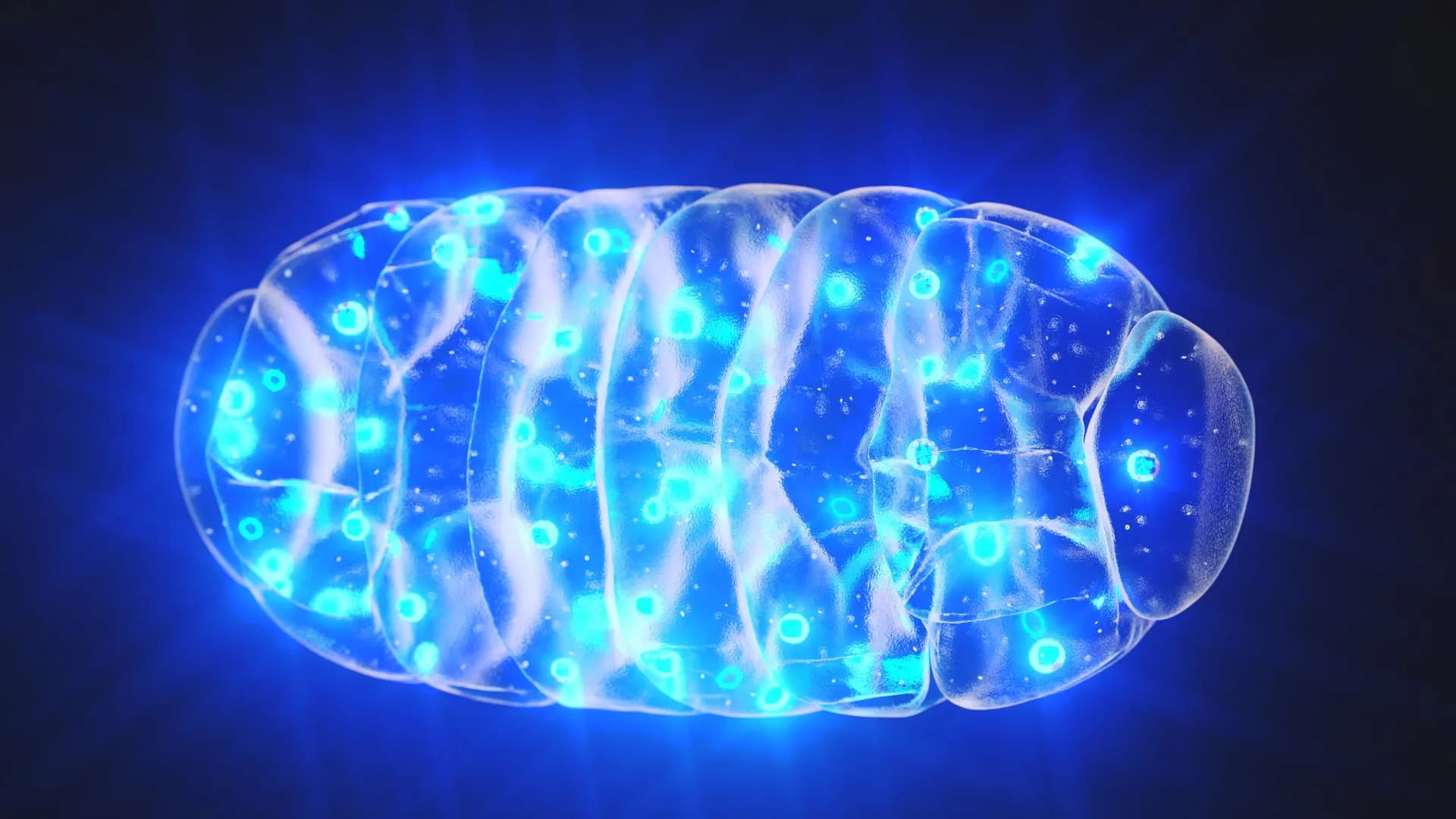 The Mitochondrial Lie: Who Really Benefits From This 'Safer' Calorie-Burning Breakthrough?