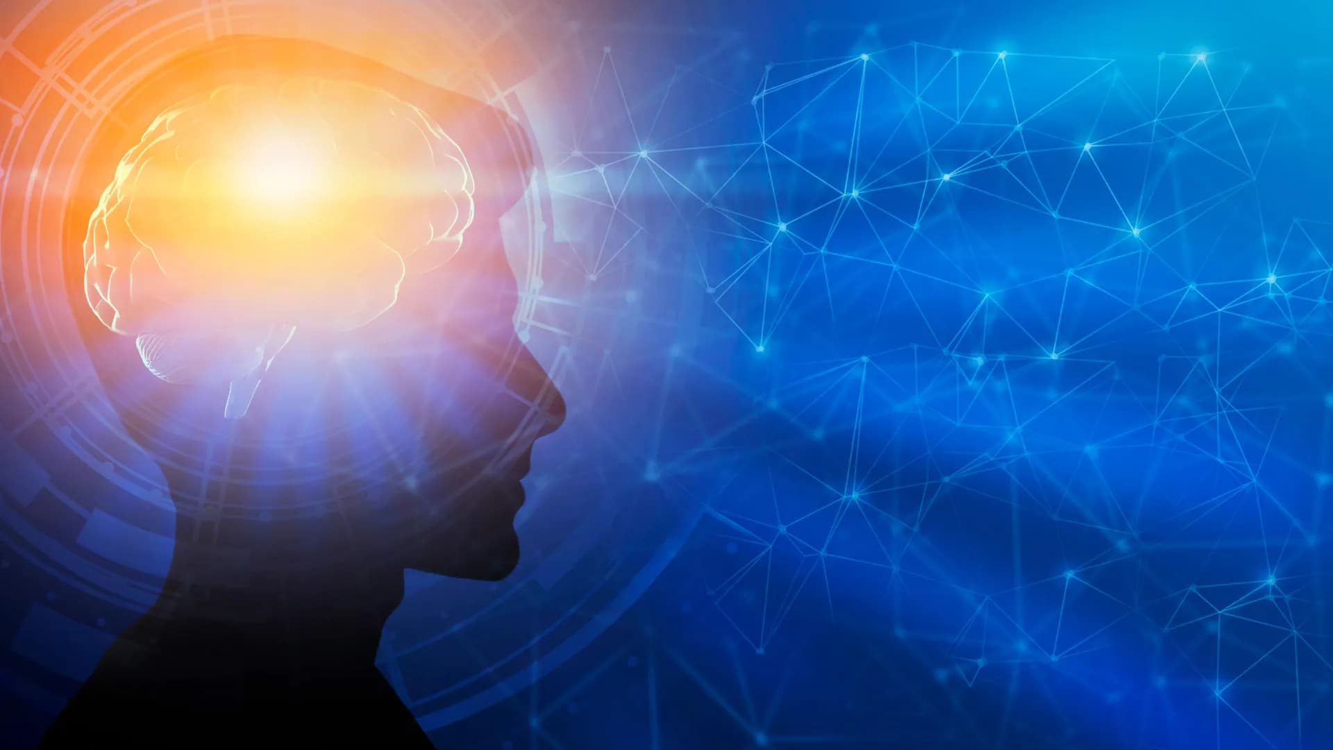 The Lie of Early Success: Why Your Brain Is Still Under Construction at 35