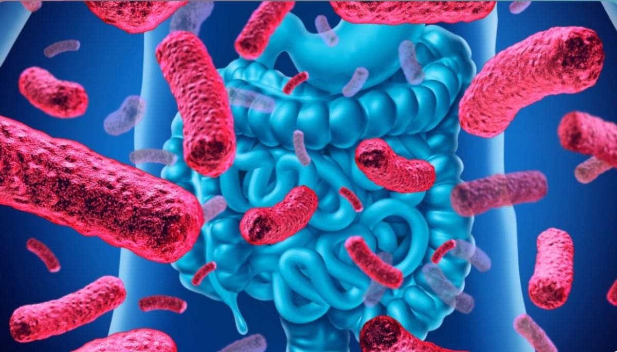 The Germ Revolution: Why Your Obsession With 'Clean' Is Making You Sick (And Who Profits)