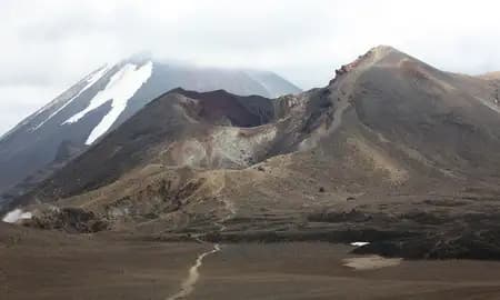 The Hidden Cost of 'Humane Tech': Why Academic Animal Monitoring is the Next Big Data Grab - Image 4