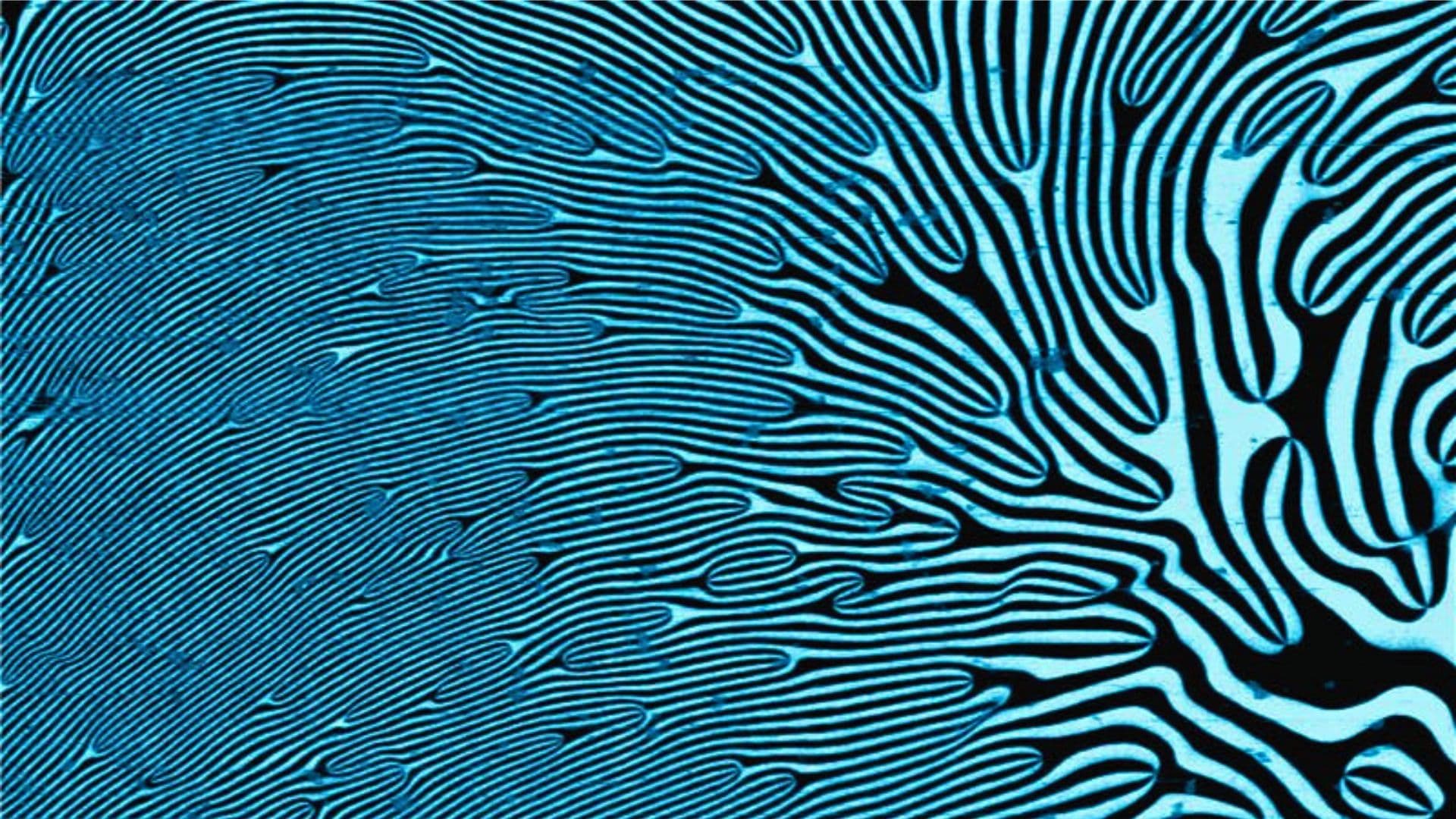 The Hidden Cost of Europe’s 'Miracle Materials': Why the ERC Report Signals a Geopolitical Time Bomb