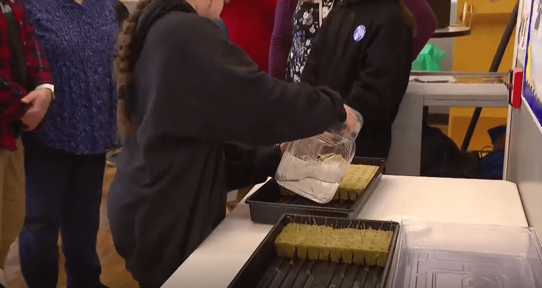 The 'Flex Farm' Lie: Why Your Kid’s Hydroponics Class Hides the Real Crisis in School Food Tech - Image 3