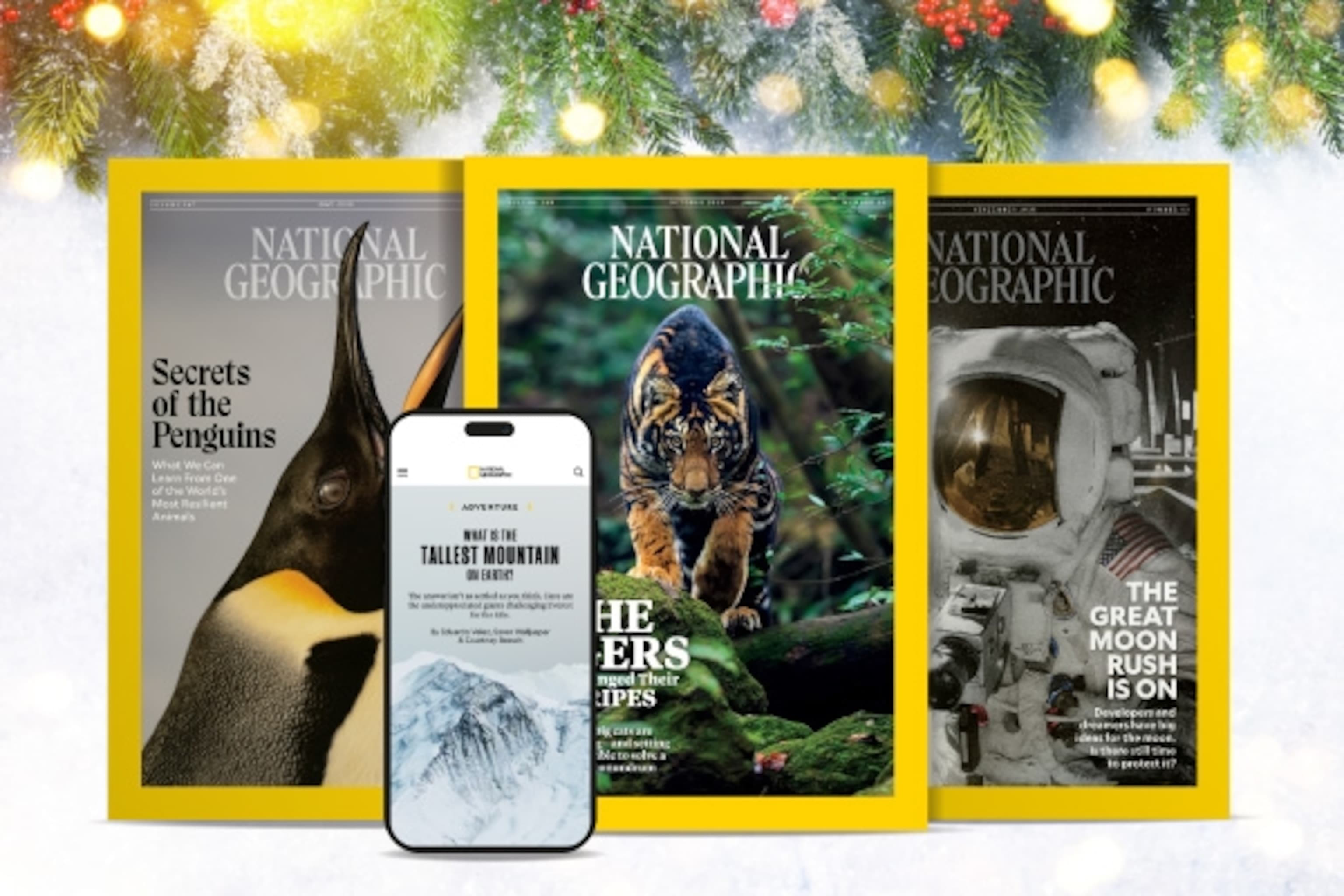 The Colostrum Cult: Why Big Supplement Is Selling You Baby Milk—And Who's Really Cashing In - Image 2