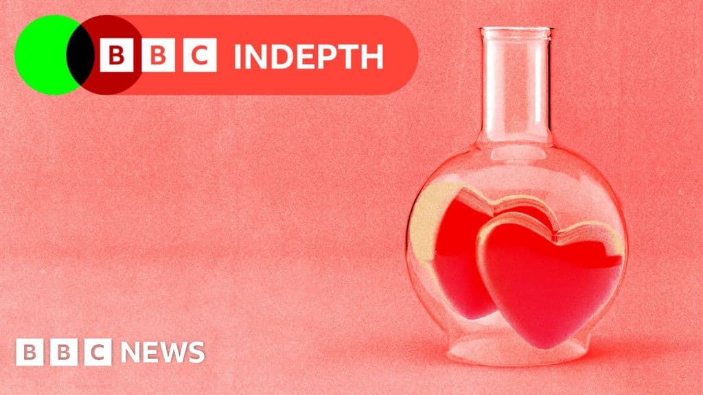 The Soulmate Lie: Why Science Says Your 'Perfect Match' Is Actually a Dangerous Myth