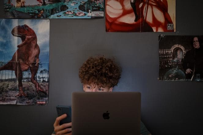 The Real Reason France is Sounding the Alarm on Social Media: It's Not About Your Kids, It's About Control - Image 1