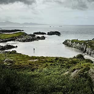 The Christmas Health Myth: Why 'Moderation' is a Lie and Who Actually Benefits from Holiday Overindulgence - Image 7