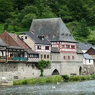 The Christmas Health Myth: Why 'Moderation' is a Lie and Who Actually Benefits from Holiday Overindulgence - Image 6