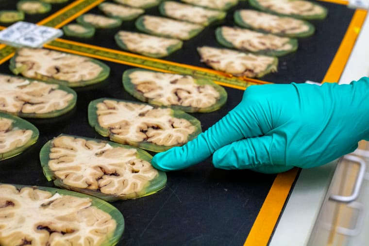 The Hidden War: Why Gutting Science Funding Is The Ultimate Political Weapon (And Who's Really Winning) - Image 5