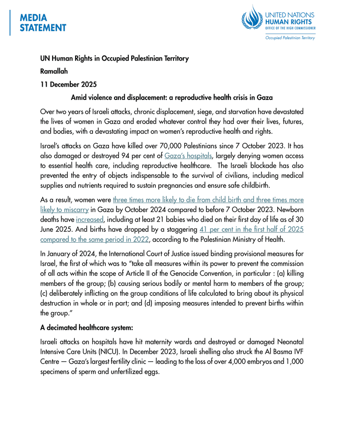 The Silent Genocide: Why Gaza's Reproductive Health Collapse Is the War's Most Unspoken Atrocity