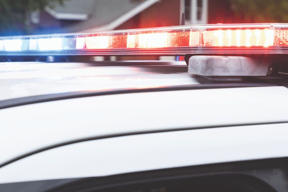 The 'New Year, New You' Lie: Why the Central Shenandoah Health Push is an Admission of Failure - Image 7