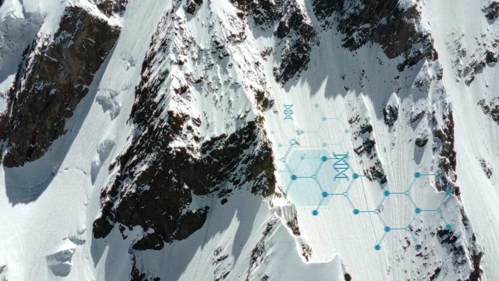 The Glacier Lie: Why Saving Ice Caps is a Distraction from the Real Climate Catastrophe - Image 4