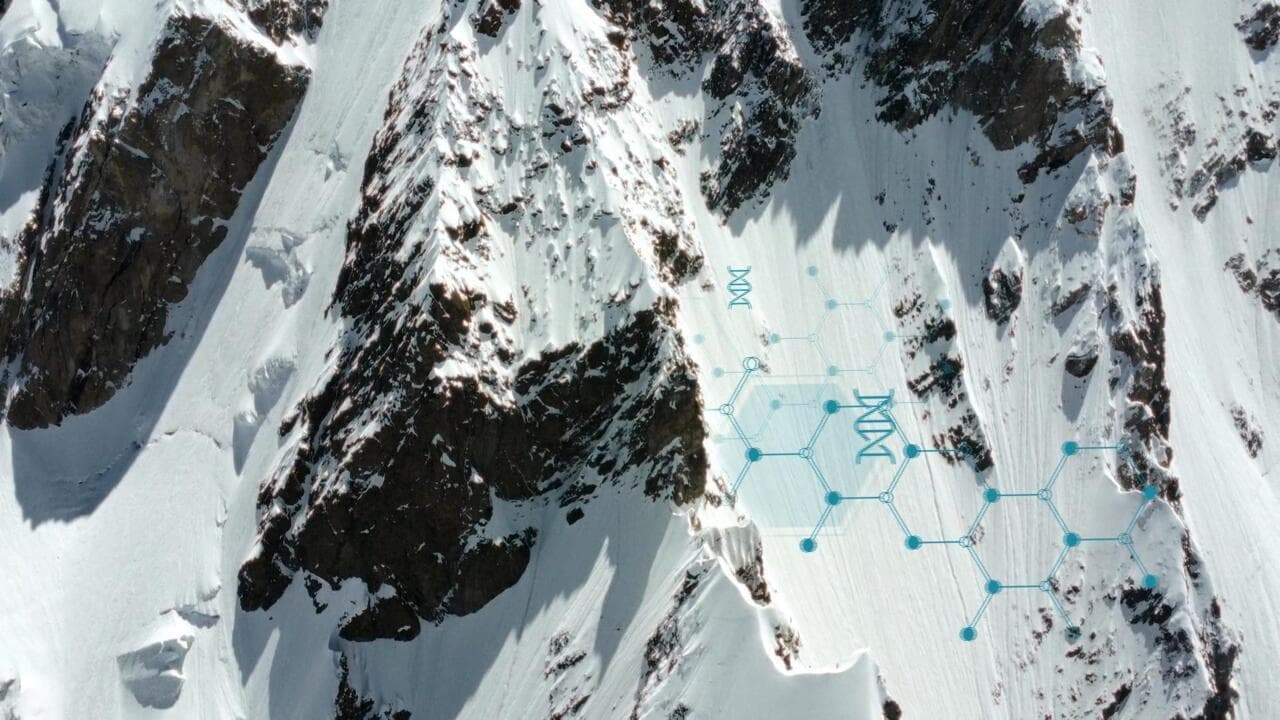 The Glacier Lie: Why Saving Ice Caps is a Distraction from the Real Climate Catastrophe