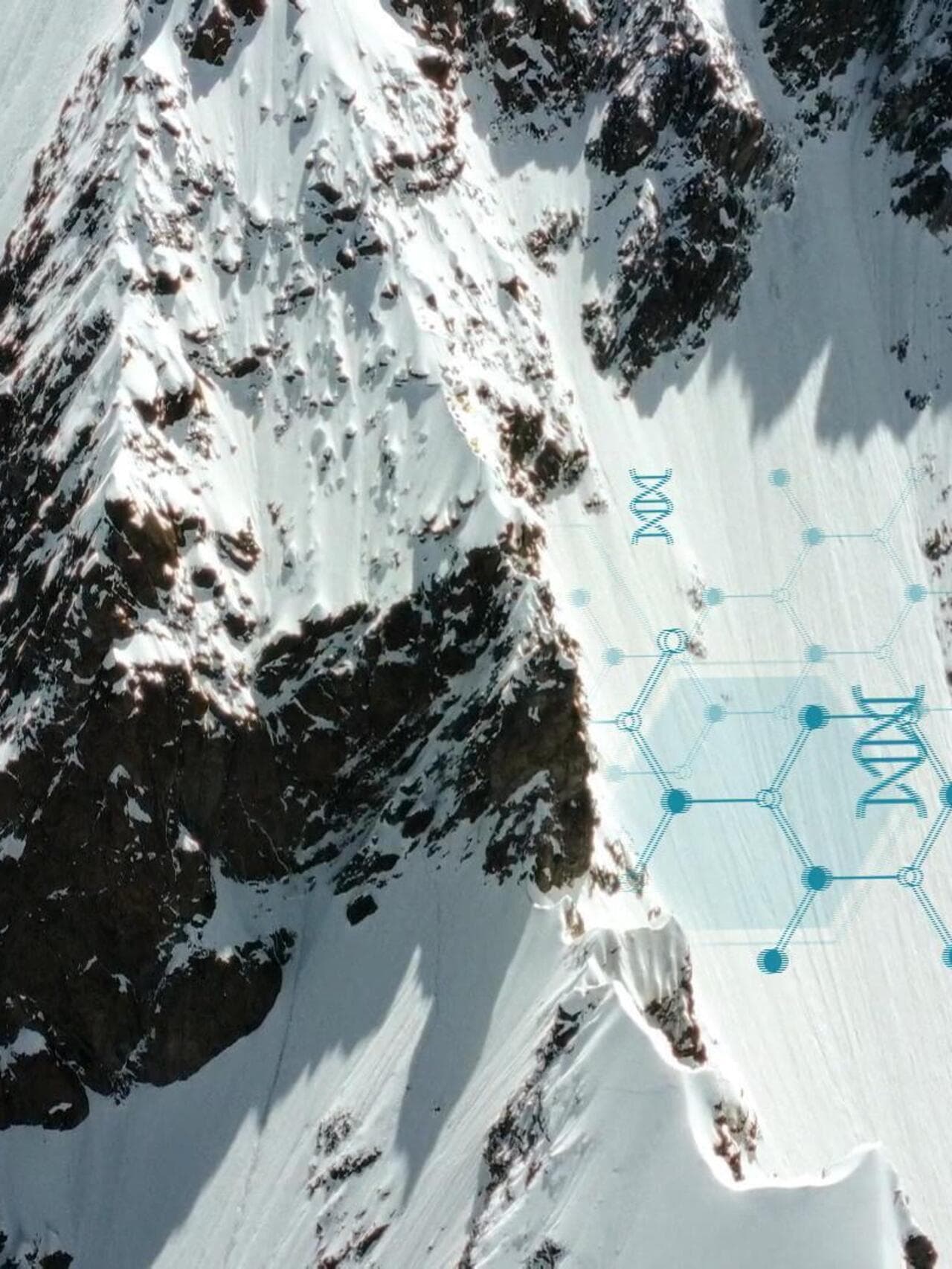 The Glacier Lie: Why Saving Ice Caps is a Distraction from the Real Climate Catastrophe - Image 2