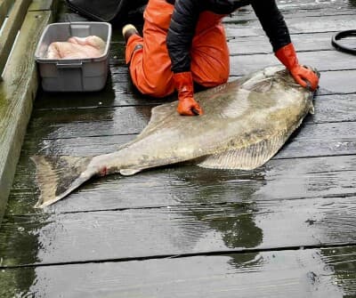 The Hidden War Over Louisiana's Menhaden: Why 'Science' is Just the First Casualty - Image 2