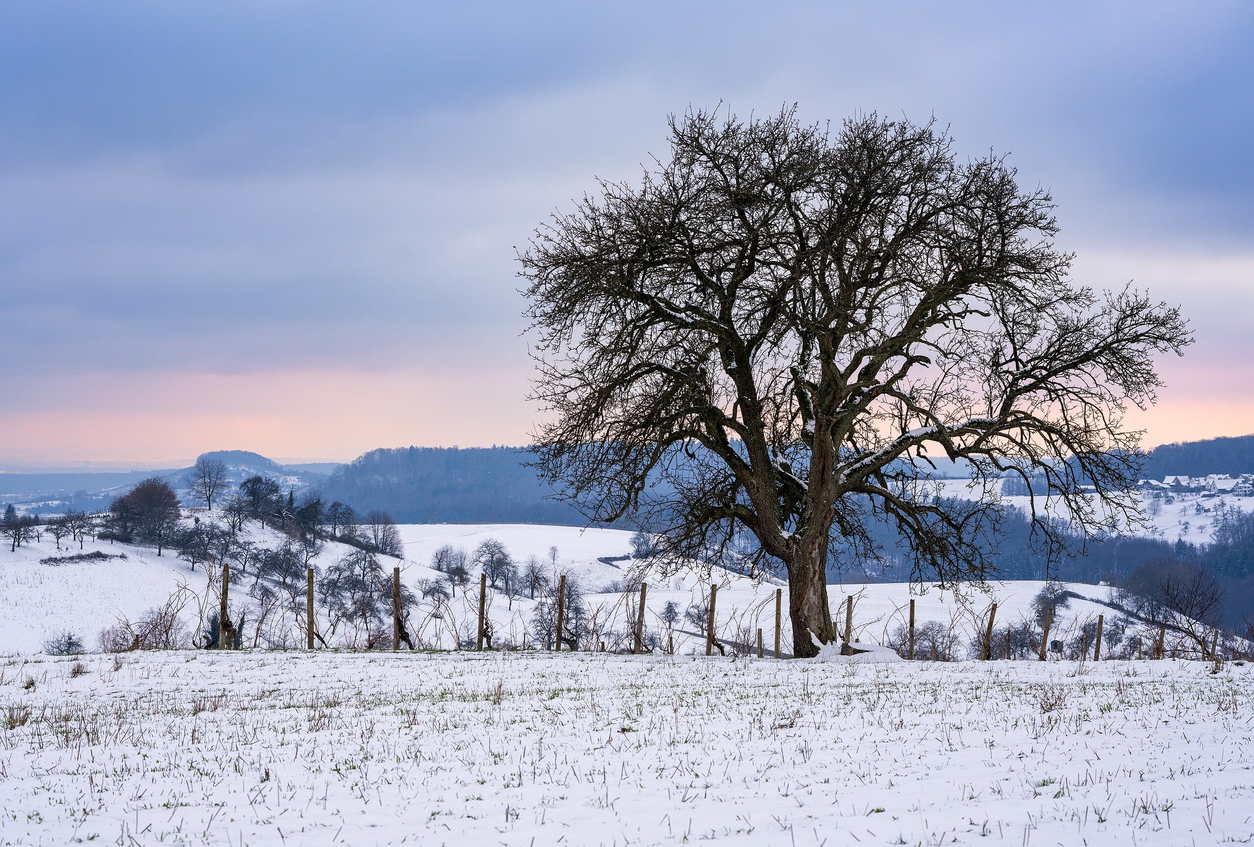 The Illusion of Certainty: Why Materialism's Grip on Science Is Finally Cracking