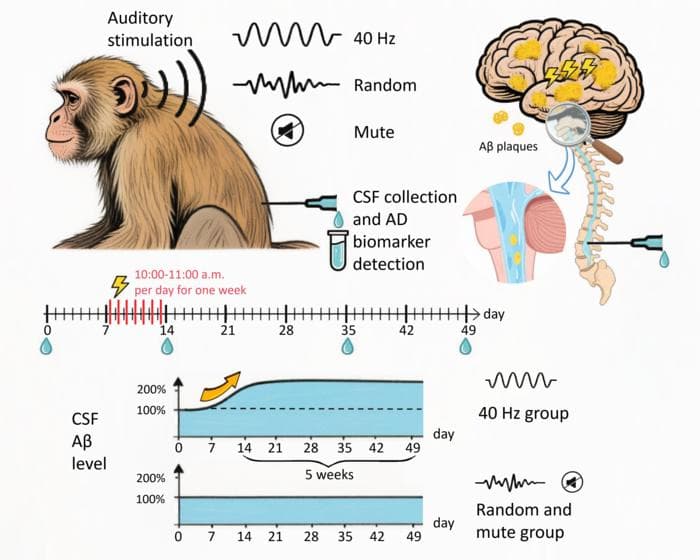 The Silent Disco Cure: Why Sound Frequencies, Not Pills, Might Be Big Pharma's Next Nightmare - Image 6