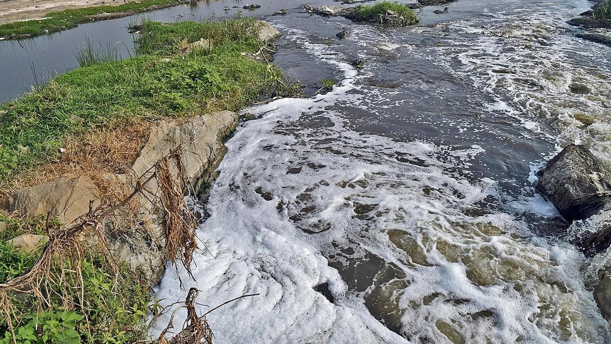 The Toxic Tides: Why India's Effluent Crisis Is A Deliberate Public Health Sacrifice