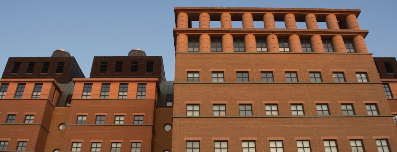 The Silicon Valley Lie: Why Soft Materials, Not Hard Chips, Are the Next Billion-Dollar Battlefield